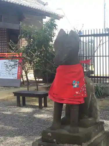 於菊稲荷神社の狛犬