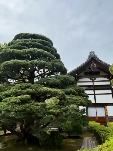 慈照寺（慈照禅寺・銀閣寺）の{uncategorized: "未分類", other: "その他", undefined: "問題あり", building: "その他建物", grave: "お墓", sacred_gate: "鳥居", guardian: "狛犬", statue: "像", buddha: "仏像", history: "歴史", nature: "自然", garden: "庭園", animal: "動物", pagoda: "塔", temizu: "手水舎", mountain_gate: "山門・神門", sanctuary: "本殿・本堂", subordinate: "末社・摂社", art: "芸術", scenery: "景色", jizo: "地蔵", ema: "絵馬", goshuin: "御朱印", omikuji: "おみくじ", items: "授与品その他", amulet: "お守り", goshuincho: "御朱印帳", eats: "食事", festival: "お祭り", votive_dance: "神楽", shichigosan: "七五三参", wedding: "結婚式", experience: "体験その他", initially: "初詣", around: "周辺", anti_infection: "感染症対策"}