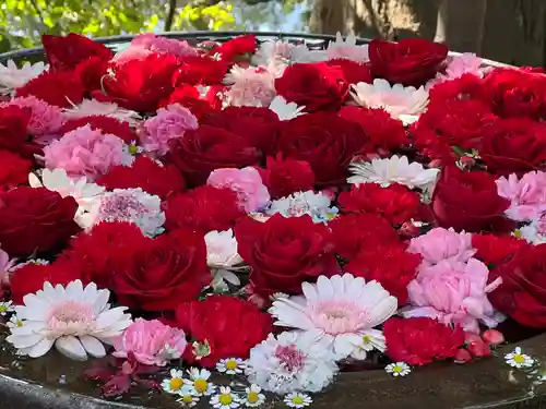 武蔵一宮氷川神社(埼玉県)
