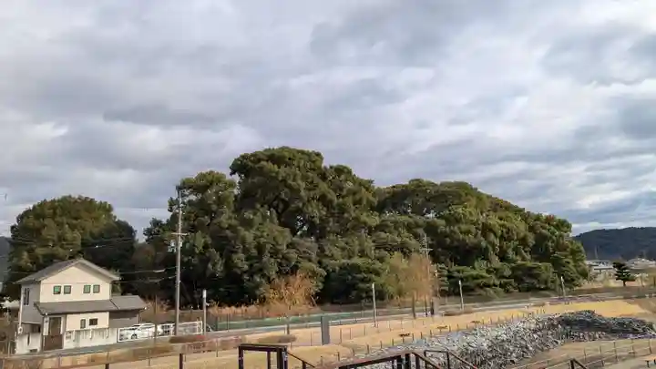 菟道稚郎子尊宇治墓のお墓