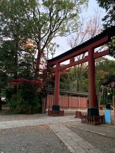 武蔵一宮氷川神社の鳥居