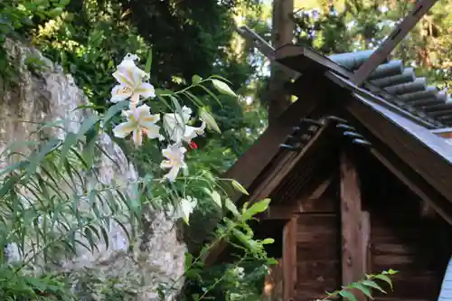 鹿島大神宮の本殿・本堂