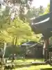 蚊里田八幡宮の{uncategorized: "未分類", other: "その他", undefined: "問題あり", building: "その他建物", grave: "お墓", sacred_gate: "鳥居", guardian: "狛犬", statue: "像", buddha: "仏像", history: "歴史", nature: "自然", garden: "庭園", animal: "動物", pagoda: "塔", temizu: "手水舎", mountain_gate: "山門・神門", sanctuary: "本殿・本堂", subordinate: "末社・摂社", art: "芸術", scenery: "景色", jizo: "地蔵", ema: "絵馬", goshuin: "御朱印", omikuji: "おみくじ", items: "授与品その他", amulet: "お守り", goshuincho: "御朱印帳", eats: "食事", festival: "お祭り", votive_dance: "神楽", shichigosan: "七五三参", wedding: "結婚式", experience: "体験その他", initially: "初詣", around: "周辺", anti_infection: "感染症対策"}