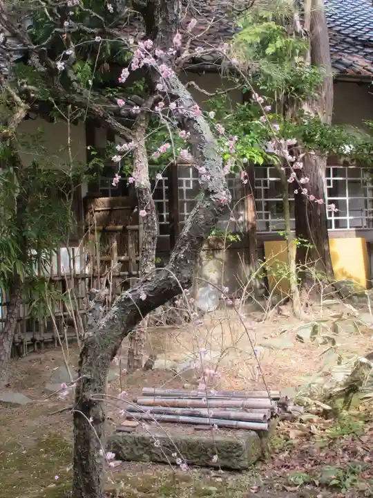 安國論寺(安国論寺)の自然