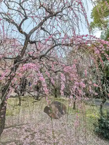 城南宮の{uncategorized: "未分類", other: "その他", undefined: "問題あり", building: "その他建物", grave: "お墓", sacred_gate: "鳥居", guardian: "狛犬", statue: "像", buddha: "仏像", history: "歴史", nature: "自然", garden: "庭園", animal: "動物", pagoda: "塔", temizu: "手水舎", mountain_gate: "山門・神門", sanctuary: "本殿・本堂", subordinate: "末社・摂社", art: "芸術", scenery: "景色", jizo: "地蔵", ema: "絵馬", goshuin: "御朱印", omikuji: "おみくじ", items: "授与品その他", amulet: "お守り", goshuincho: "御朱印帳", eats: "食事", festival: "お祭り", votive_dance: "神楽", shichigosan: "七五三参", wedding: "結婚式", experience: "体験その他", initially: "初詣", around: "周辺", anti_infection: "感染症対策"}