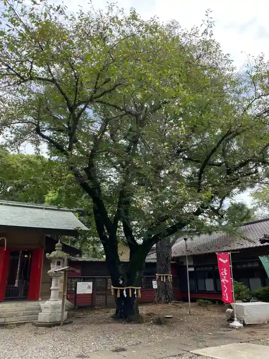 前原御嶽神社(千葉県)