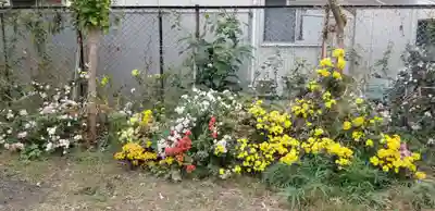 稲荷神社の自然