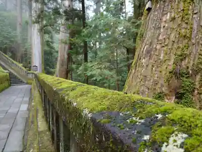 日光東照宮(栃木県)
