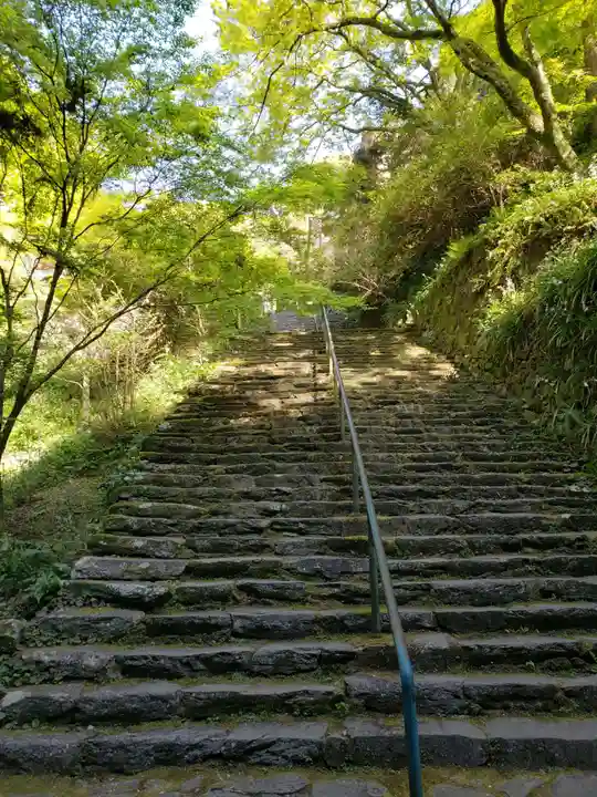 清水寺の庭園