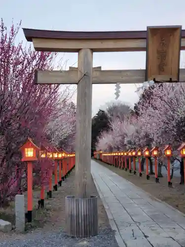 朝日森天満宮(栃木県)