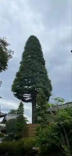 仏導寺(神奈川県)