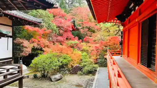 毘沙門堂門跡の庭園