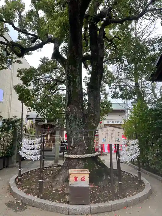 溝口神社のその他建物