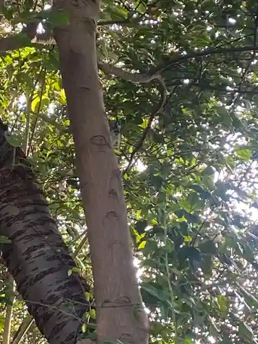植田八幡神社(福島県)