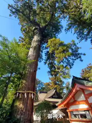 香取神宮(千葉県)