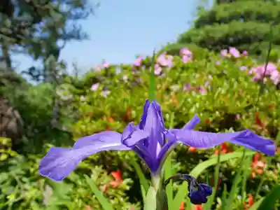青龍山 吉祥寺(群馬県)
