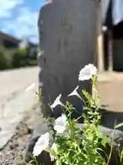 白鳥神社の自然