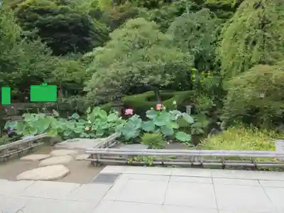 長谷寺(神奈川県)