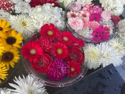 新川皇大神社の手水舎