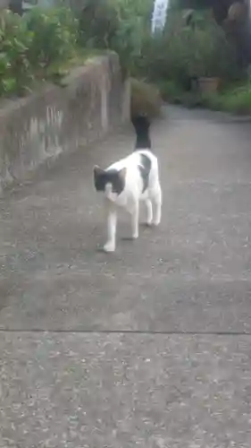 井際山 如意輪寺(愛知県)