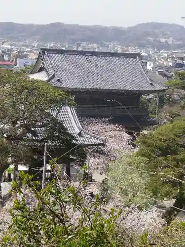 光明寺の本殿・本堂