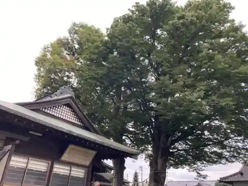 熊野宮のその他建物