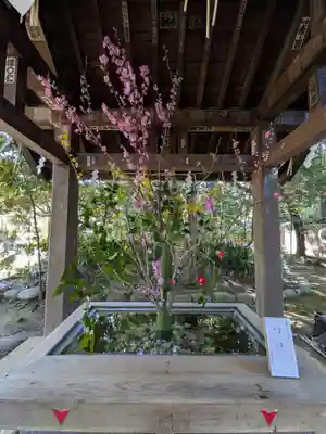 赤坂氷川神社(東京都)