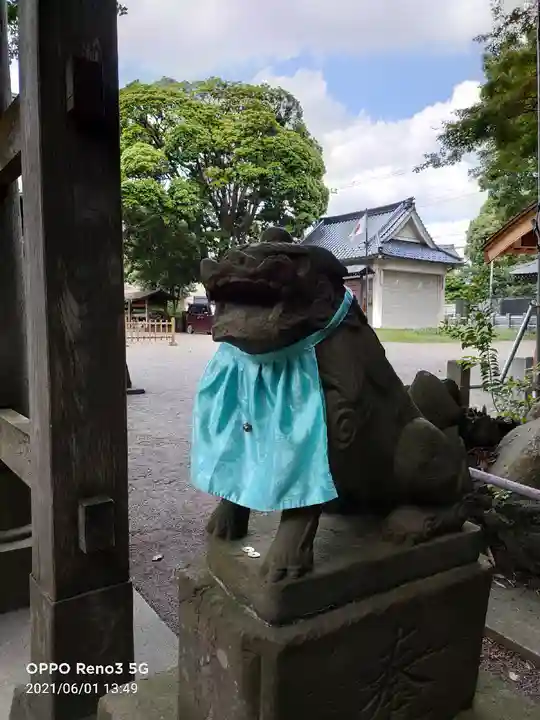 下総国三山 二宮神社の狛犬