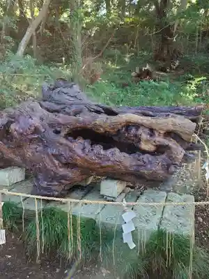 泉神社(茨城県)