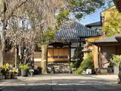 法徳寺の建物その他