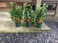 愛宕神社のその他建物