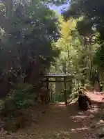 蘇羽鷹神社(千葉県)