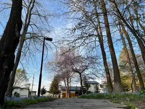 滝川神社の自然