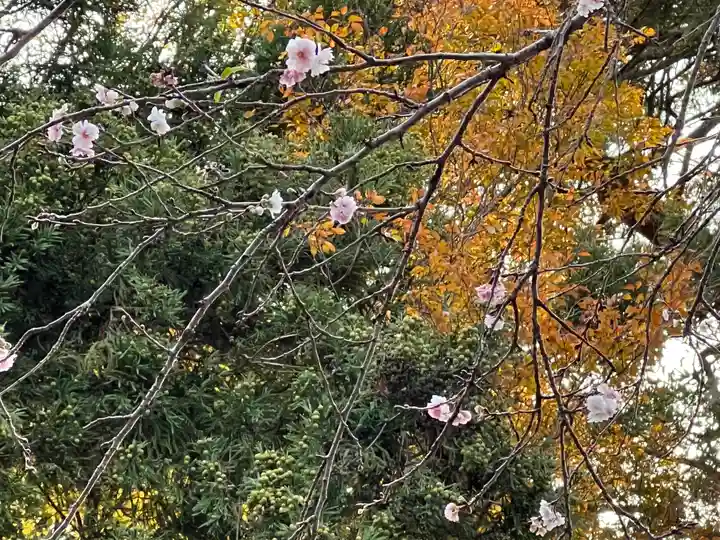 熊野神社(山梨県)