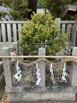 三田天満宮(兵庫県)