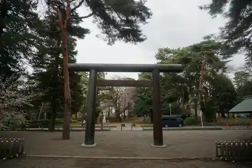 埼玉縣護國神社の鳥居