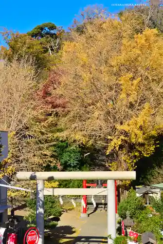 雷神社(神奈川県)