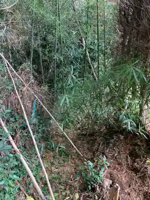妙見神社(千葉県)