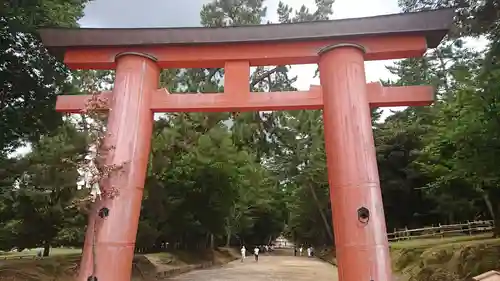 春日大社の鳥居