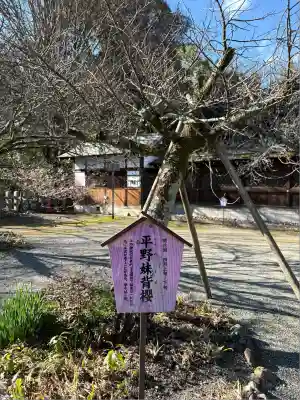 平野神社(京都府)