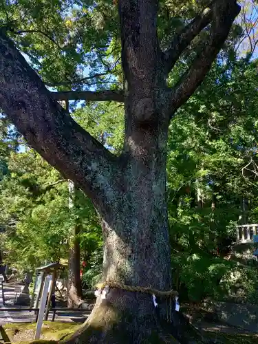 事任八幡宮(静岡県)