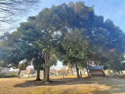 神明宮（県町）(栃木県)