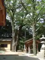 貴船神社(福岡県)