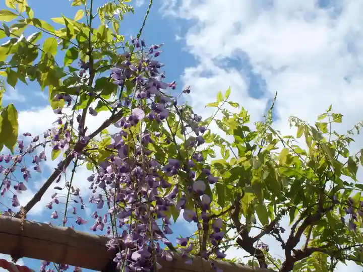 惣社神社の自然