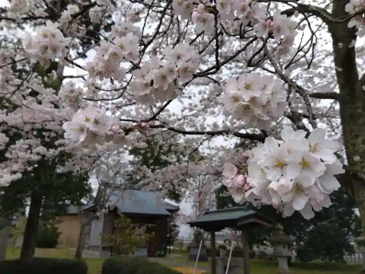 白山神社(福井県)
