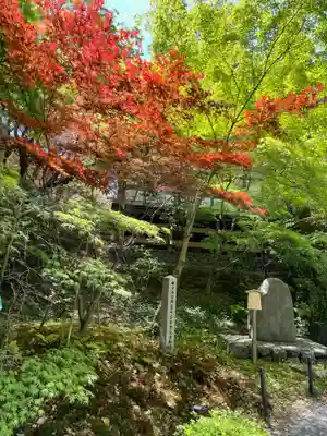 長岡天満宮(京都府)