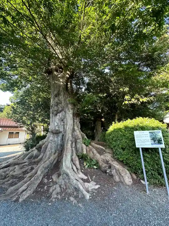 石見国一宮 物部神社(島根県)