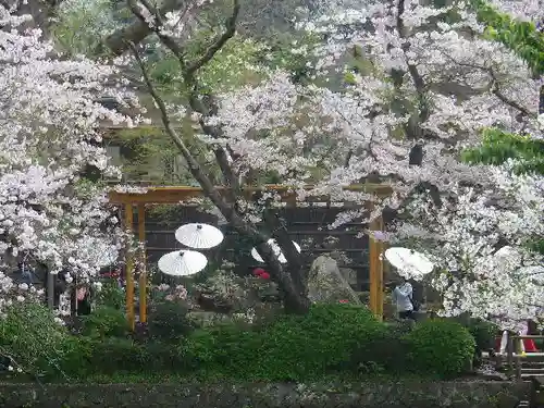 鶴岡八幡宮の庭園