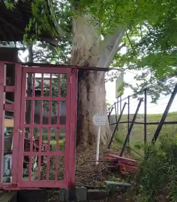 旅立稲荷神社(宮城県)