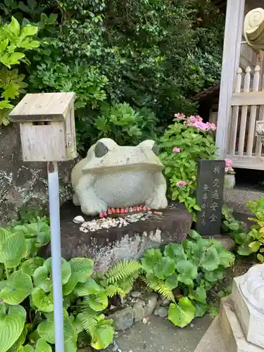 波立寺（波立薬師）の狛犬